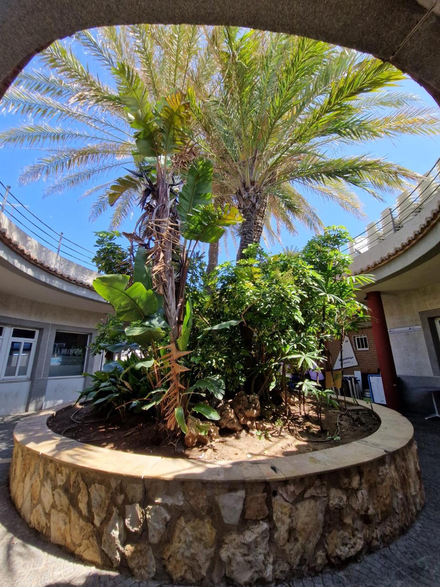 Apartamento Barbacoa, Piscina Y Playa La Pobla de Farnals Exteriör bild